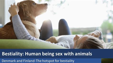 sexmithund|Dog sex videos. Free bestiality and animal porn